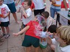 Fotografies dels dofins i elefants passats per aigua