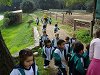 Amliar la fotografia