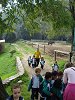 Amliar la fotografia