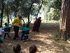 Amliar la fotografia