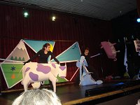 Ampliar la fotografia