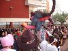 Fotografies del manteig