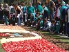 Amliar la fotografia