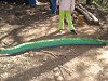 Amliar la fotografia