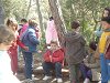Amliar la fotografia