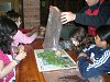 Amliar la fotografia