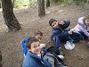 Amliar la fotografia