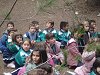 Amliar la fotografia