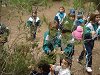 Amliar la fotografia