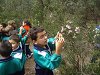 Amliar la fotografia