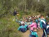 Amliar la fotografia