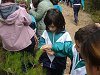 Amliar la fotografia