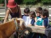 Amliar la fotografia