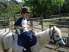 Amliar la fotografia