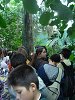 Amliar la fotografia