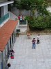 Ampliar la fotografia