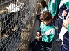 Ampliar la fotografia