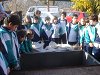 Ampliar la fotografia