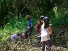 Ampliar la fotografia