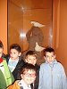 Ampliar la fotografia