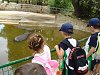 Ampliar la fotografia