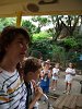 Ampliar la fotografia