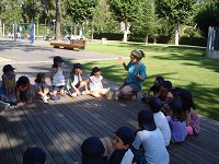 Ampliar la fotografia