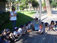 Ampliar la fotografia