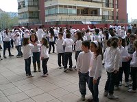 Ampliar la fotografia