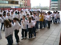 Ampliar la fotografia