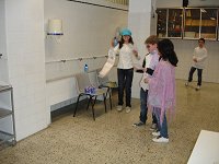Ampliar la fotografia