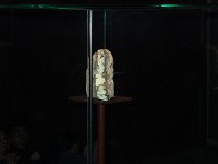 Ampliar la fotografia