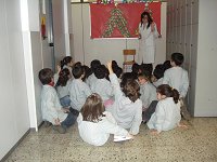 Ampliar la fotografia