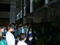 Ampliar la fotografia