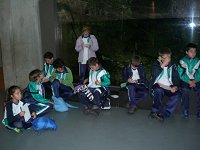 Ampliar la fotografia