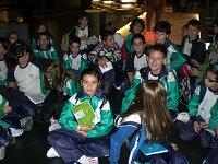 Ampliar la fotografia