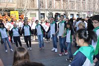 Ampliar la fotografia