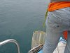 Amliar la fotografia