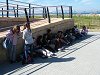 Ampliar la fotografia