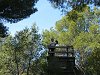 Ampliar la fotografia