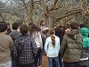 Ampliar la fotografia