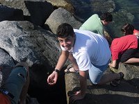 Ampliar la fotografia