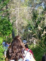 Ampliar la fotografia